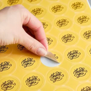 WhatsApp Image 2025-11-04 at 1.44.59 PM (1)